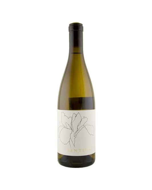 2023 Sentium Sauvignon Blanc, Mendocino, USA